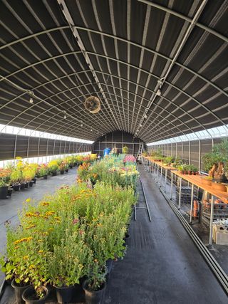 안창진님의 자유주제 · 자유게시판 작성글 사진