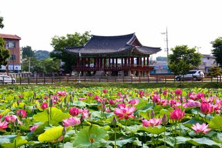 국중선님의 자유주제·자유게시판 작성글 사진