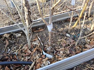 김용대님의 자유주제 · 자유게시판 작성글 사진