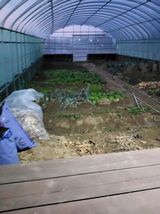 팜모닝 자유주제·자유게시판 게시글 이미지