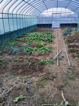 식만동 강변농원님의 자유주제·자유게시판 작성글 사진