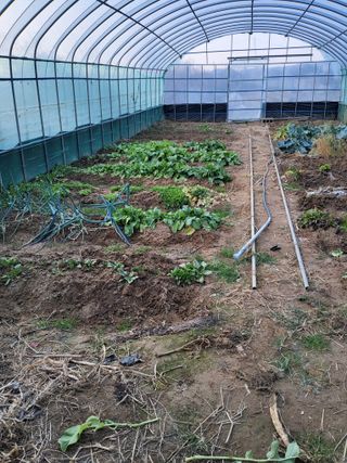 식만동 강변농원님의 자유주제 · 자유게시판 작성글 사진