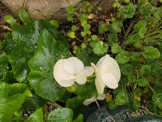 달맛햇복숭아농원님의 자유주제 · 사진전 작성글 사진