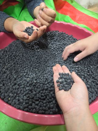 달달하니님의 자유주제 · 자유게시판 작성글 사진