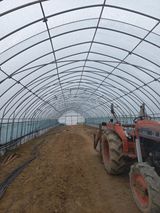 팜모닝 자유주제·자유게시판 게시글 이미지