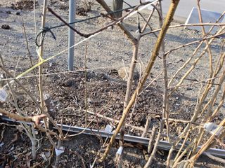 김용대님의 자유주제 · 자유게시판 작성글 사진