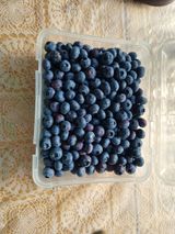 팜모닝 자유주제·자유게시판 게시글 이미지