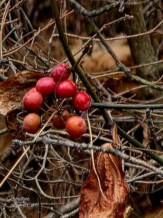 안길원님의 자유주제 · 자유게시판 작성글 사진