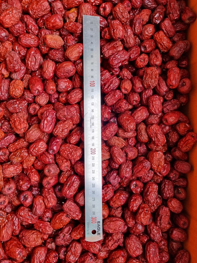 최기동님의 장터 판매 상품 [건대추(상)500g] 첨부 사진