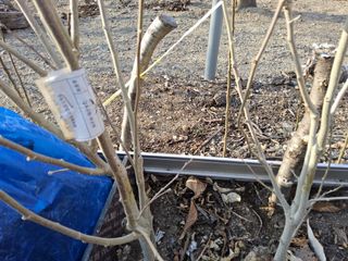 김용대님의 자유주제 · 자유게시판 작성글 사진