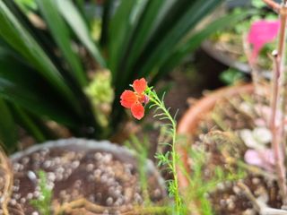 달맛햇복숭아농원님의 자유주제 · 사진전 작성글 사진