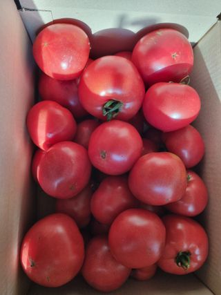 진여화 농원님의 자유주제 · 자유게시판 작성글 사진