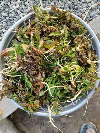 최남옥님의 자유주제 · 자유게시판 작성글 사진