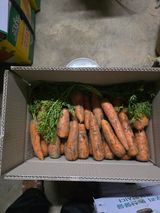 팜모닝 · 게시글 이미지