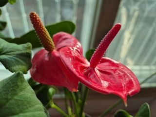 안길원님의 자유주제 · 자유게시판 작성글 사진