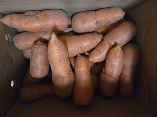 강원사랑인님의 자유주제 · 자유게시판 작성글 사진