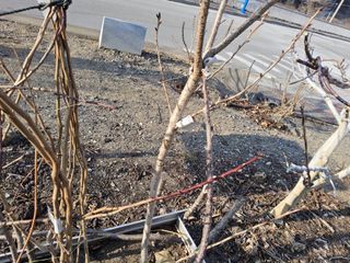 김용대님의 자유주제 · 자유게시판 작성글 사진