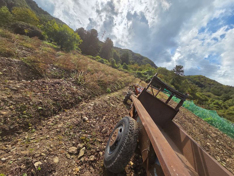 최승표님의 장터 판매 상품 [들깨6kg한말] 첨부 사진