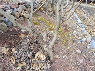 김용대님의 자유주제 · 자유게시판 작성글 사진