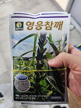 한농농약종묘사님의 참깨·자유게시판 작성글 사진