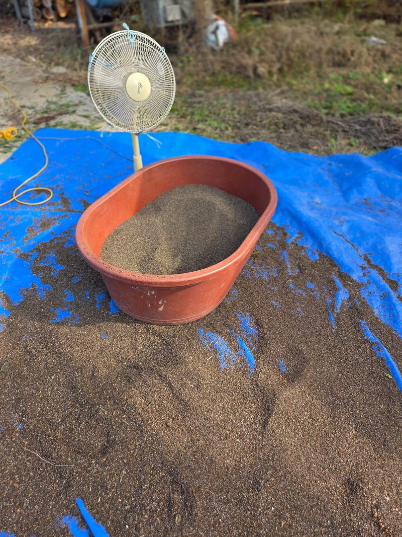 장터 상품 [들깨6kg한말] 썸네일