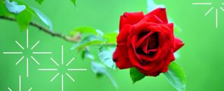 하은와송~♡♡♡~님의 자유주제·자유게시판 작성글 사진