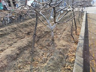 김용대님의 자유주제 · 자유게시판 작성글 사진