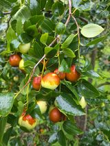 팜모닝 · 게시글 이미지