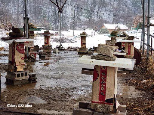 최승표님의 장터 판매 상품 [토종꿀1.2kg] 첨부 사진