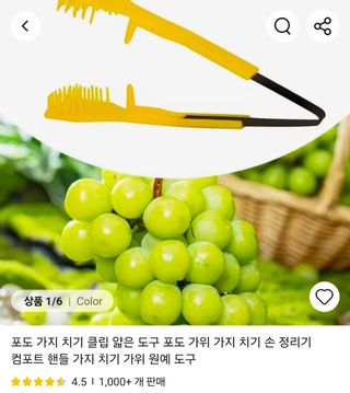 이정석님의 자유주제 · 자유게시판 작성글 사진