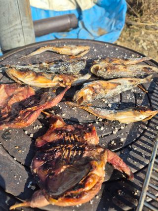 이정민님의 자유주제 · 자유게시판 작성글 사진