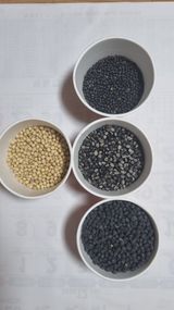 김지철님의 자유주제·자유게시판 작성글 사진