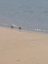 팜모닝 자유주제·자유게시판 게시글 이미지