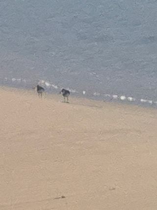 징금다리님의 자유주제 · 자유게시판 작성글 사진