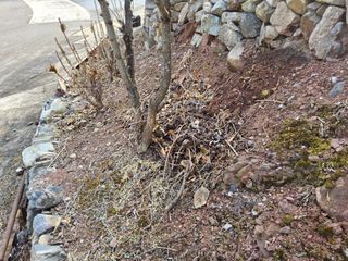 김용대님의 자유주제 · 자유게시판 작성글 사진