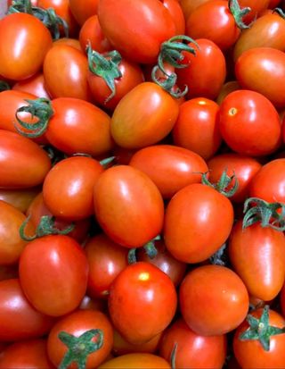 농부손녀님의 작성글 사진