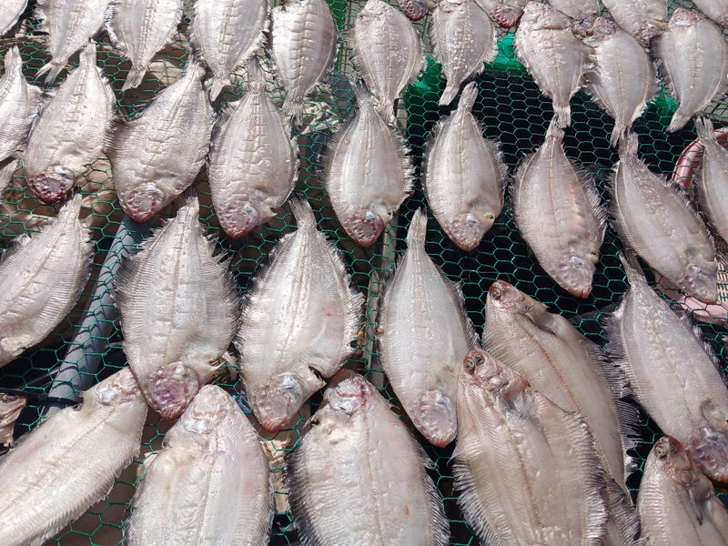 마늘  복숭아윤금자님의 장터 판매 상품 [참가자미.기름가자미] 첨부 사진