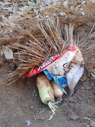 이현상님의 자유주제 · 자유게시판 작성글 사진