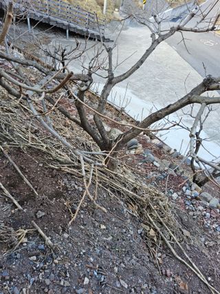 김용대님의 자유주제 · 자유게시판 작성글 사진