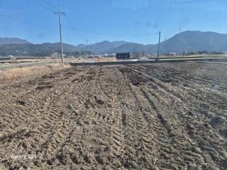 사천시향촌동 돼지띠님의 자유주제 · 자유게시판 작성글 사진