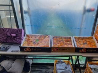 이호님의 자유주제 · 자유게시판 작성글 사진