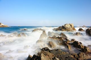 문해님의 자유주제 · 자유게시판 작성글 사진