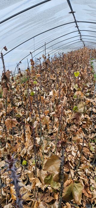 벼8778님의 자유주제 · 자유게시판 작성글 사진