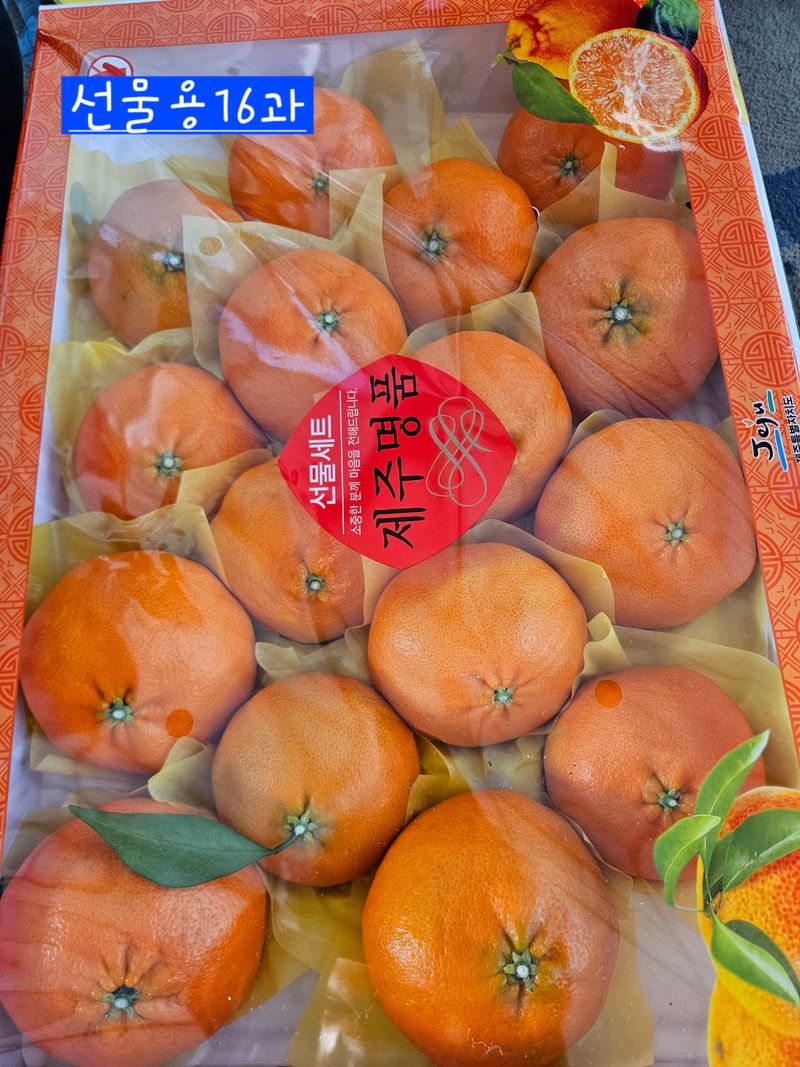 제주 지안이네농장님의 장터 판매 상품 [제주레드향] 첨부 사진