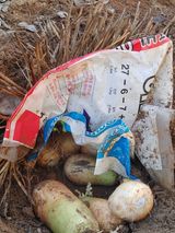 팜모닝 자유주제·자유게시판 게시글 이미지