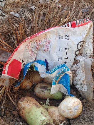 이현상님의 자유주제 · 자유게시판 작성글 사진