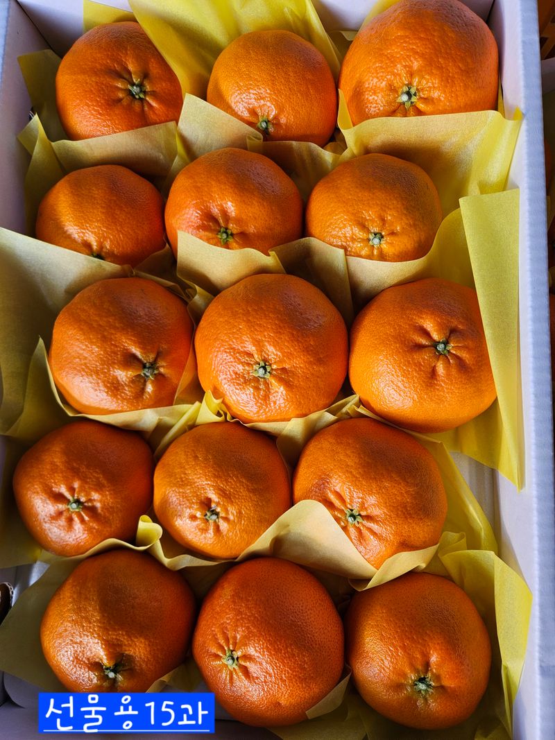 장터 상품 [제주레드향] 썸네일