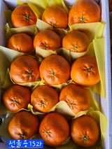 팜모닝 · 게시글 이미지