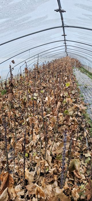 벼8778님의 자유주제 · 자유게시판 작성글 사진