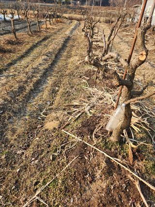 최상길 님의 자유주제 · 자유게시판 작성글 사진